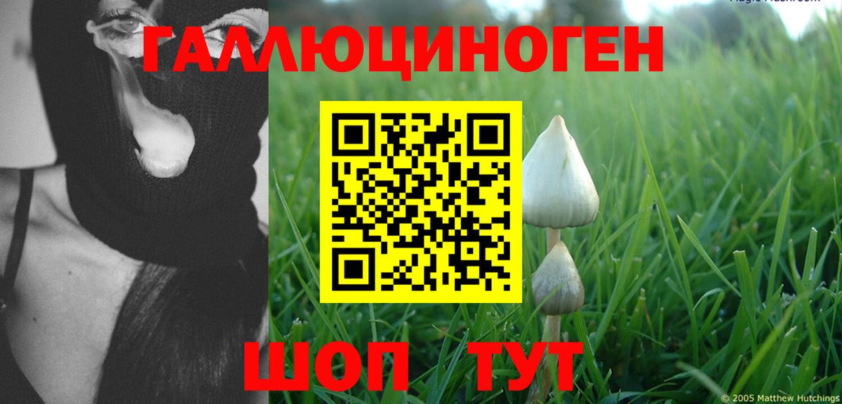 Псилоцибиновые грибы Cubensis  Псилоцибиновые грибы Psilocybe  Красный Сулин  сколько стоит  Вход с VPN 
